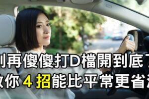 別再傻傻打D檔開到底了，教你４招就能比平常省油囉！