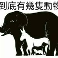 【神秘的圖】有人看出 4 種動物，有人看出 10 種... 你能看出幾種呢？