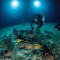 地中海海底發現最古老沉船內有驚人發現...