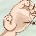 【生活百科】天然又健康的12個驅蚊方法，讓蚊子不敢接近你！