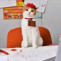 日本一公司部長是只貓，下邊員工壓力好大，天天被監視還得鏟屎！