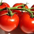 番茄具有四大美容神效，知道的人都能青春常駐！
