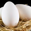 孕婦適度吃鵝蛋，對人體有5大好處！越早知道的孕媽都是幸運兒