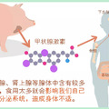 這9種肉最好別吃或少吃，有害！尤其是這三種！