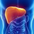 肝是沉默的器官，「肝癌」發現時都是末期！這些身體徵兆你一定要注意!
