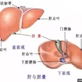 為何「肝癌」一發現就是晚期？你的肝若出現這三種症狀，就恐怖了...絕對要注意！！