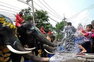 漲姿勢丨泰國潑水節又要到了，你想去嗎？