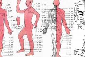 常常脖子痛、脾氣暴躁嗎？原來是你的身體「這部位」濕得不像話！