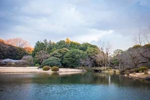 最適合旅行的地方：日本新宿御苑，賞櫻花美景
