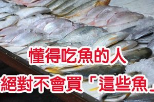 懂得吃魚的人絕對不會買「這些魚」！