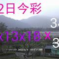 2/2今彩539
