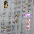2/4六合彩參考看