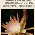 2/11六合彩參考>>>>祝大家猴年行大運