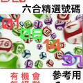 2/20六合彩參考看看