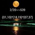 2/20今彩539參考看