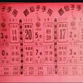 3/8 鶴仙子手冊-六合彩參考
