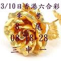 3/10香港六合彩>>>參考尾數8尾
