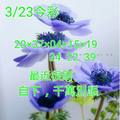 3/23今彩539參考看看>>>祝中獎