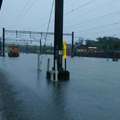 豪雨影響！台鐵斗南至大林雙向不通　阿里山今日休園