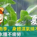 夏至梅雨季，身體濕氣排不出！這樣消水腫不疲勞