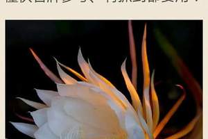 4/12六合彩低G參考看~祝中獎