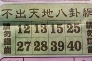 4/19不出天地八卦網~六合彩參考看