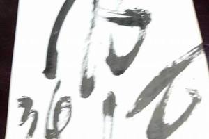 4/21神明牌~六合彩參考看(1)