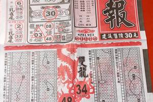 4/21龍報~六合彩參考看