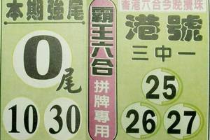 5/5霸王六合拼牌專用~六合彩參考看