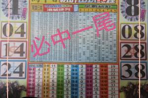 5/24六合彩尾數4尾、8尾參考看~祝中大獎