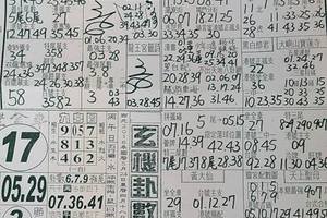 5/24真晨報~六合彩參考看