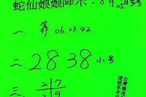 8/25竫濟宮~六合彩參考