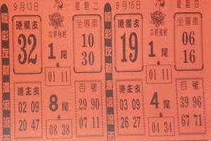 9/13鶴仙子手冊~六合彩參考看看