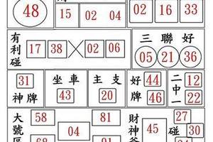 10/13財旺人旺旺~六合彩參考看看