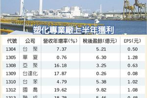 榮化獲利亮眼 H1每股賺2.07元