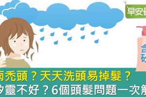 淋雨禿頭？天天洗頭易掉髮？含矽靈不好？6個頭髮問題一次解答