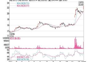 12/24法人選股: 宏碁 開高走高直奔漲停