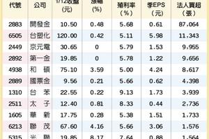 元/13號  12檔三優股 雞飛狗跳