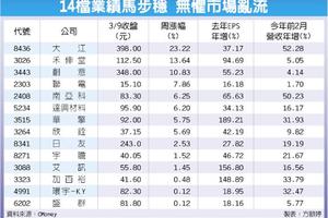 14檔業績馬步穩 不怕亂流