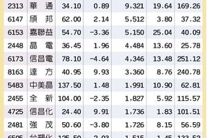 14檔內資相挺 迎520行情