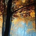 心理測試：哪幅秋季風景圖最讓你心曠神怡？測你適合怎樣的愛情？