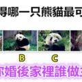 你覺得哪一隻熊貓最可愛？測你婚後家裡誰做主？