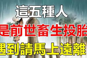 這五種人是前世畜生投胎，遇到請馬上遠離！