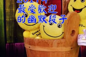 2017年最受歡迎的幽默段子