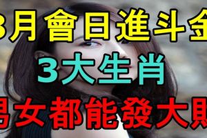 8月會日進斗金，男女都能發大財的3大生肖！