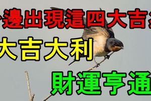 身邊出現這四大吉兆，大吉大利，財運亨通