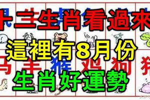 十二生肖看過來，這裡有2017年8月份生肖運勢！