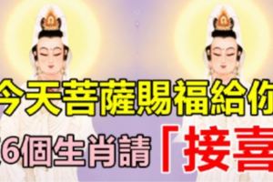 九月十九觀音誕，菩薩賜福，這6個生肖請「接喜」!