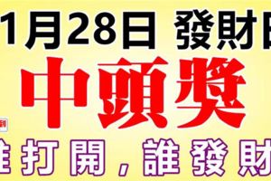 11月28發財日，誰打開誰發財，一發到年底！