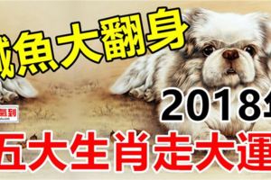 2018年鹹魚大翻身，五大生肖走大運！